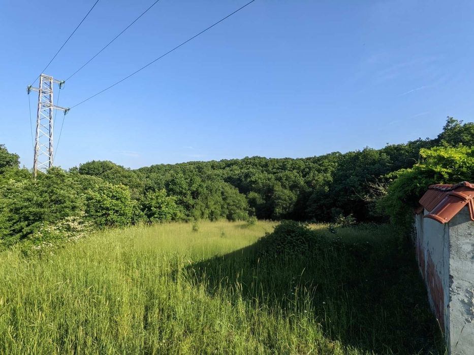 Дава под наем парцел, Синеморец