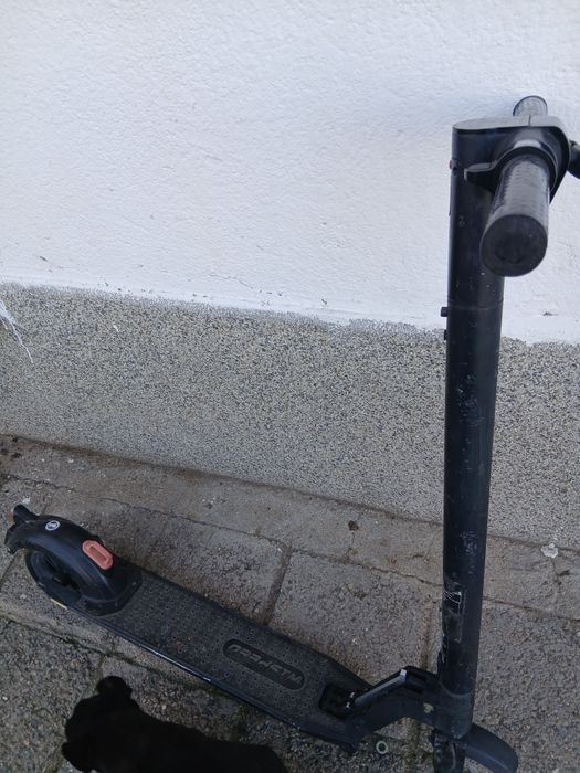 Тортинетка цяла на части