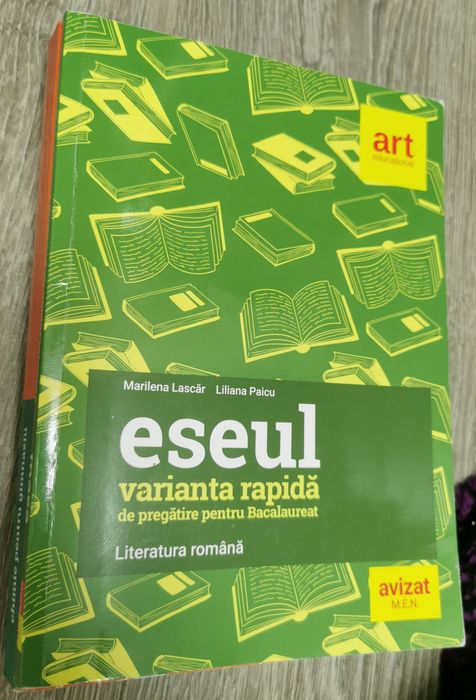 Eseu Bacalaureat