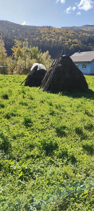 Teren de vânzare în zona montană