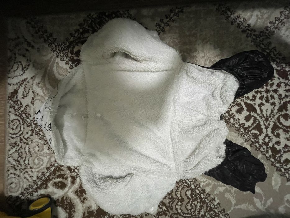 Одежда для собаки мопс