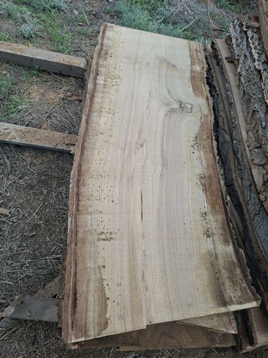 Слэбы орех торцевые спилы орех