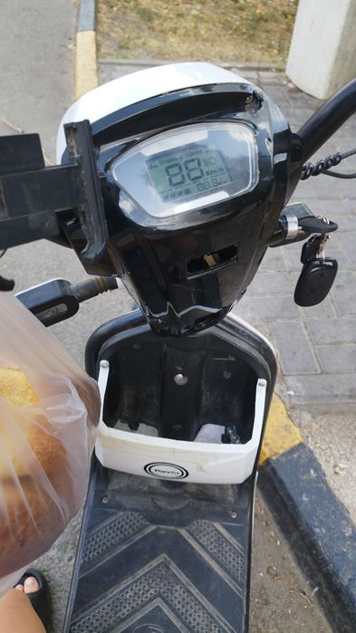 Панда скутер с гарантией