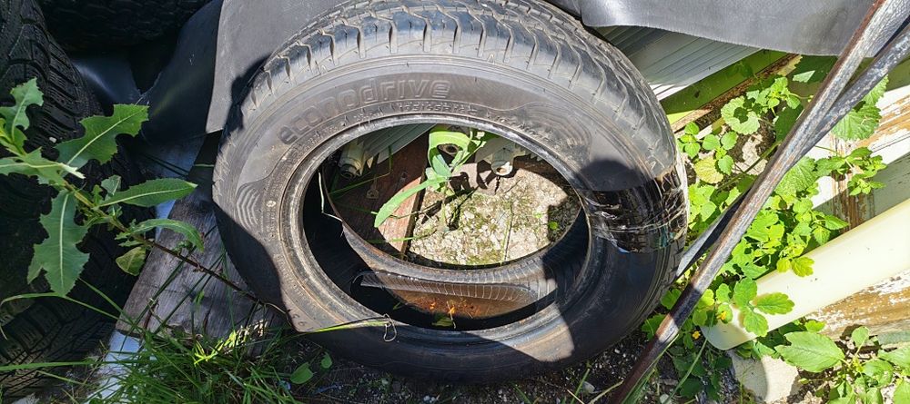 Cauciucuri vara 195 /65/16 cu  noi cnemomtate pe masina fara defecte
