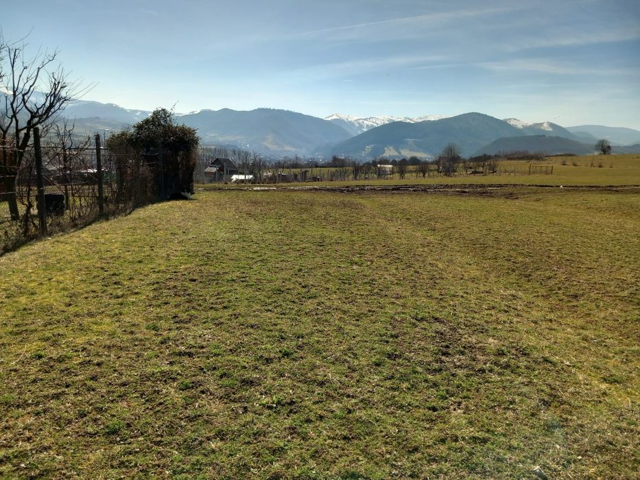 Teren extravilan Tropinii vechi