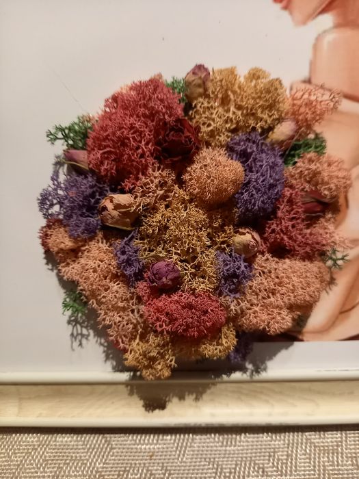 Картина със скандинавски мъх и естествени розови пъпки.