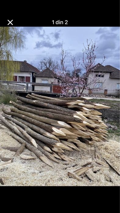 Vand pari pentru gard electric