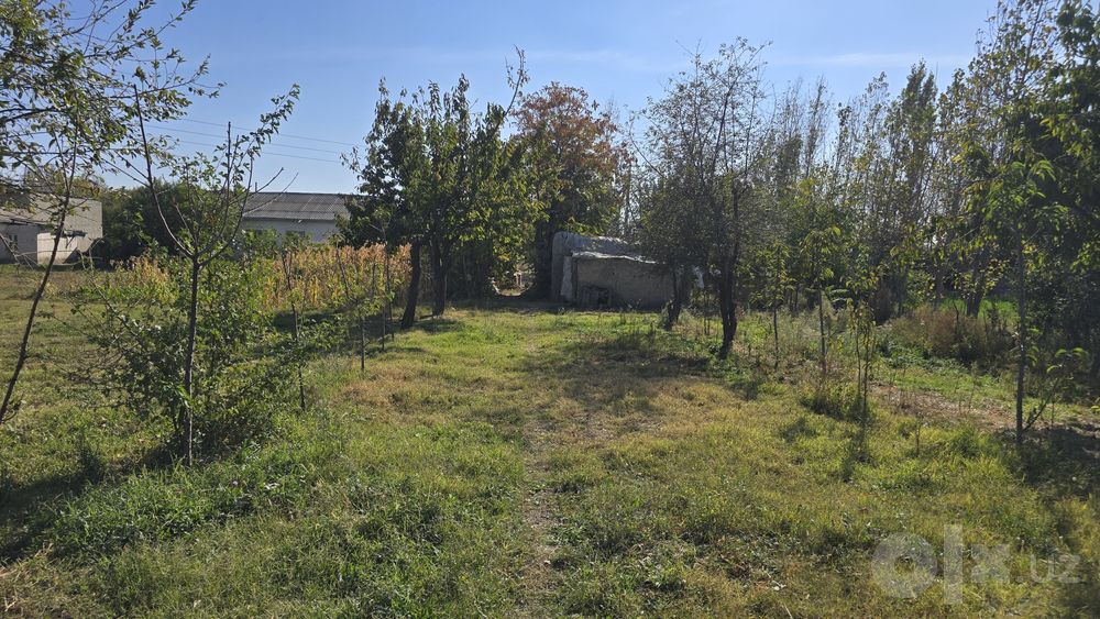 Samarqand jomboy parsezd arzon narxda srochna sotiladi