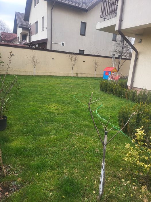 Proprietar vand casa individuala situata in Popesti Leordeni