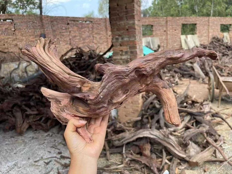 Коряги для аквариума оптом и в розницу