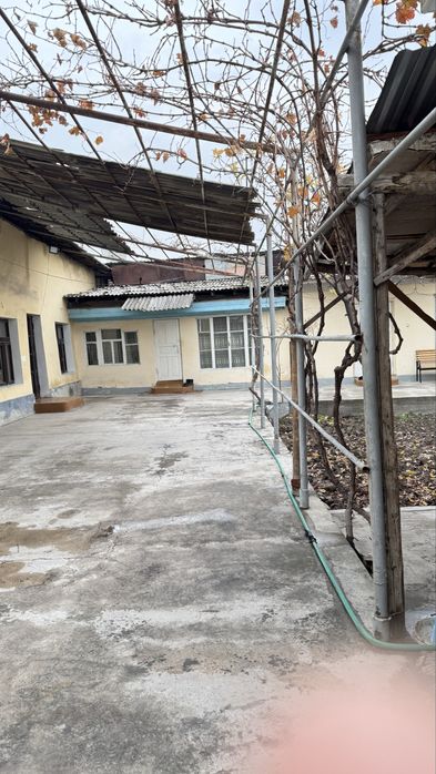 Srochna sotaman yer xisobida