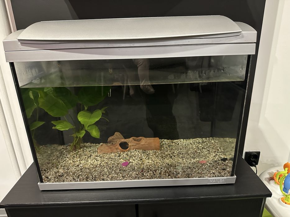 Аквариум 60 л с шкаф