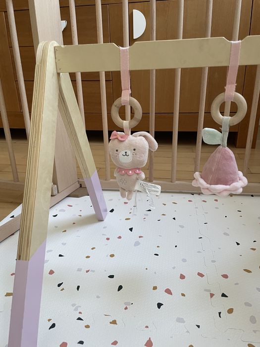 Little dutch baby gym
