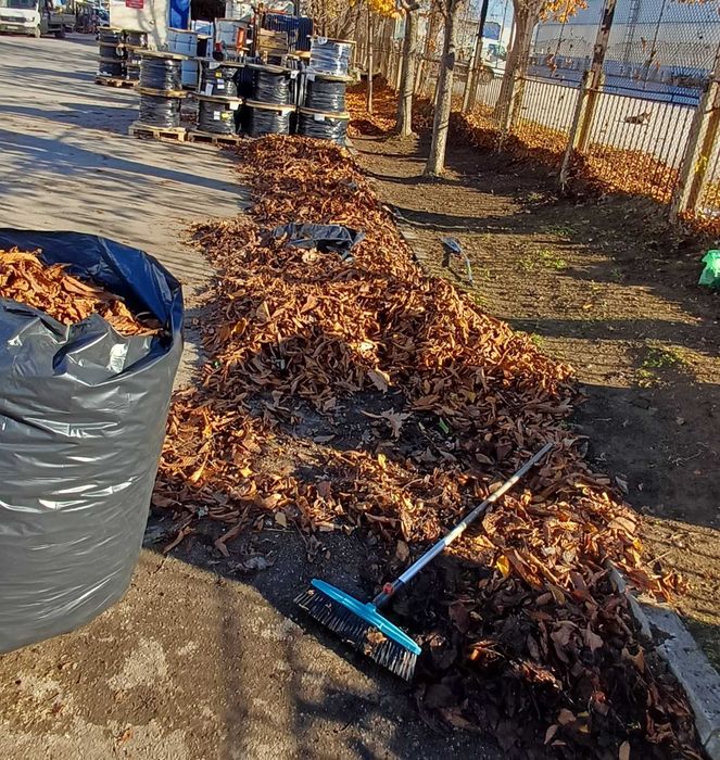 Почистване на сезонен листопад и растителни отпадъци