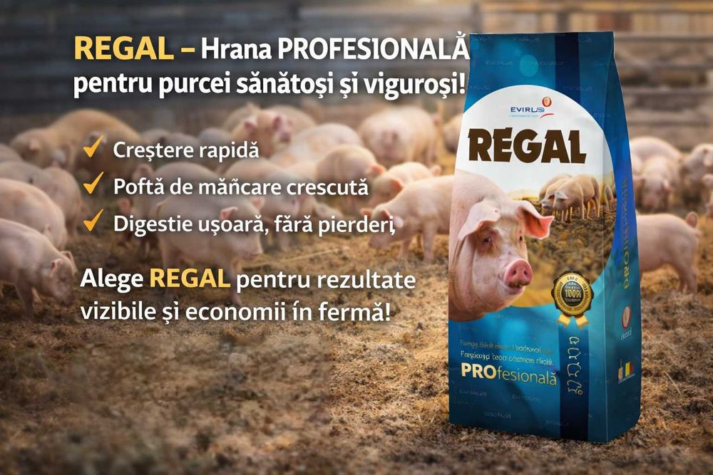 concentrat Regal purcei