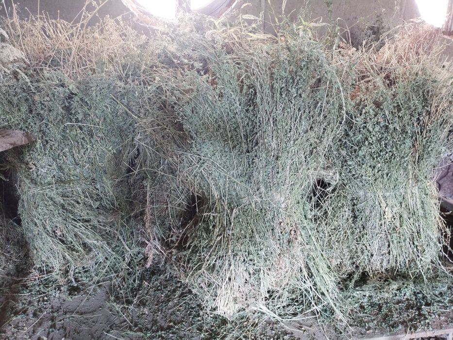 Беда бандлари  сотилади.