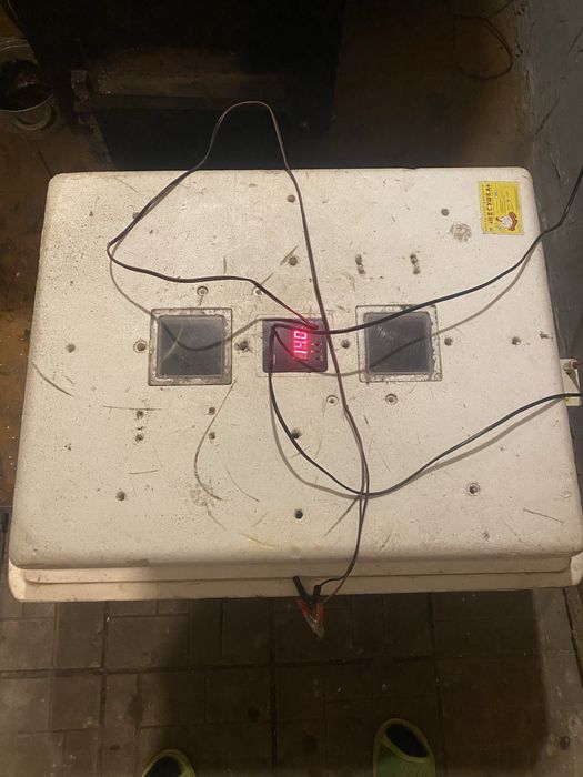 Продам инкубатор несушка 104