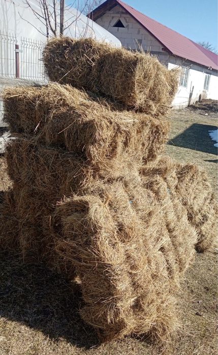 Baloți de fân uscat