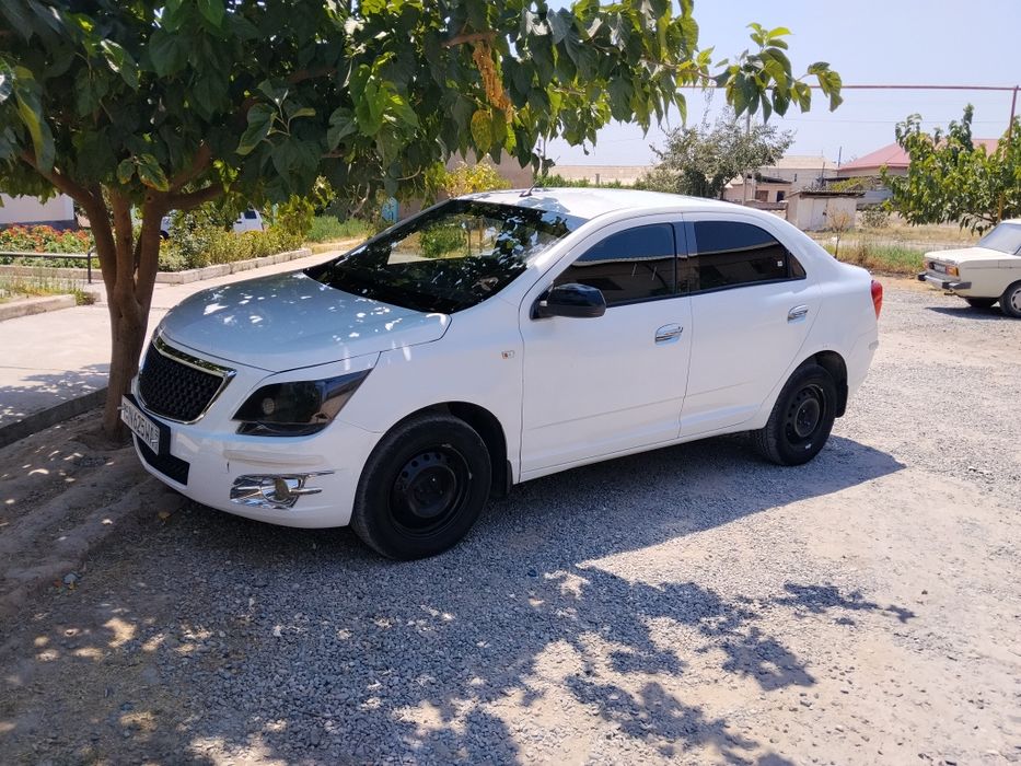 Cobalt 2019 Ravon