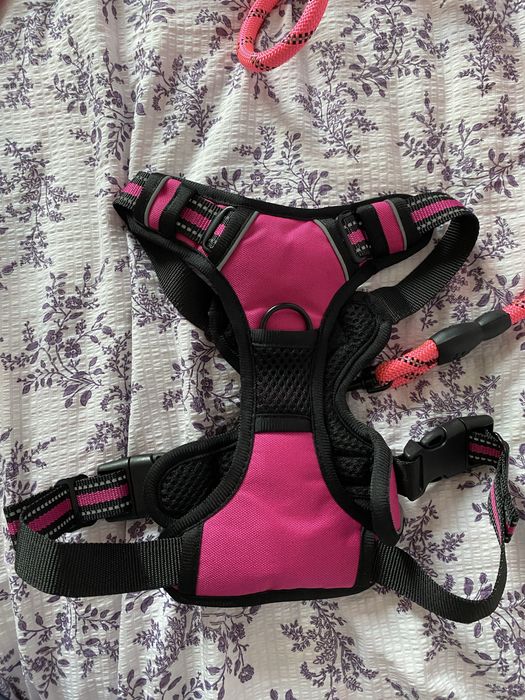 Шлейка для собаки