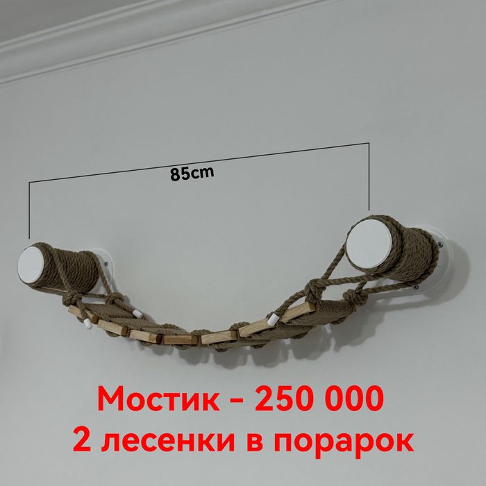 Когтеточки и комплексы для кошек | Мостики, лесенки | Ташкент