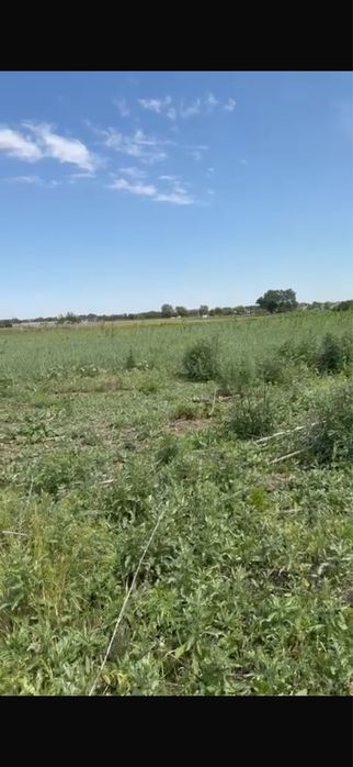 участок 1га в карасайском районе
