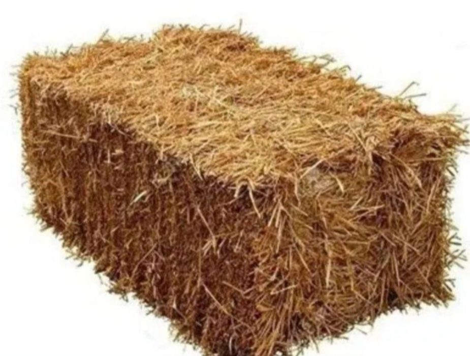 Сомон прес продаётся Оплата форма любоя дона оптим