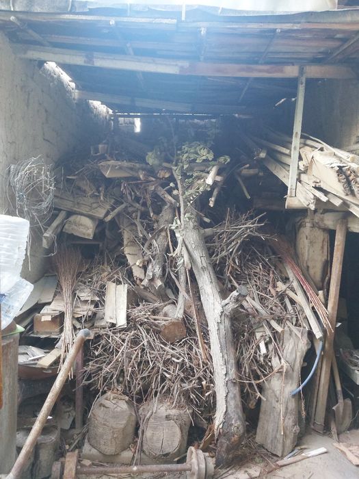 O'tin sotiladi quruq ozgina ustida maydalari qogan kotta otinla