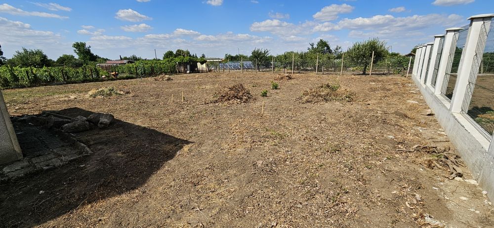 Имот със сменен статут