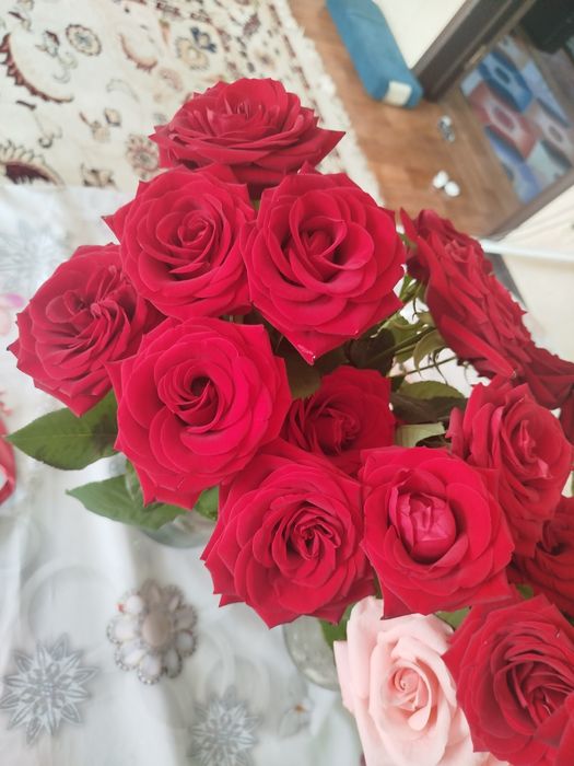 Розы в прекрасном состоянии