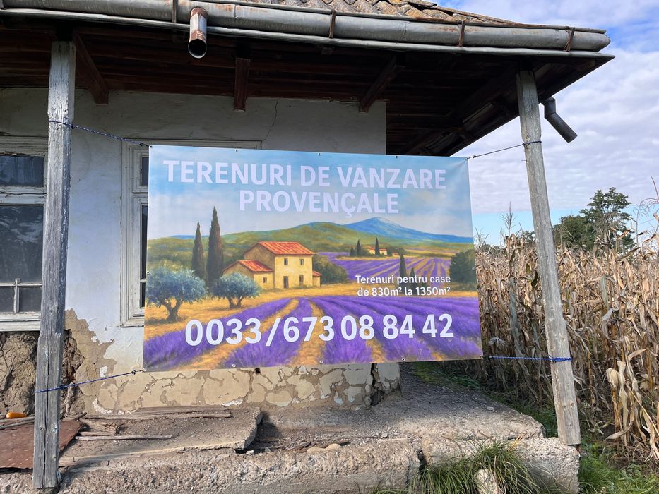 Terenuri de vanzare