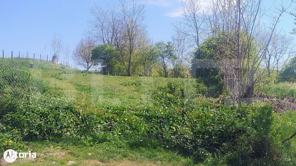 Teren intravilan 1613 mp in comuna Geaca | Ideal pentru casa sau inve