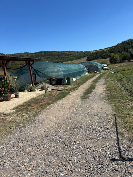 Teren intravilan Ceuasu de Campie