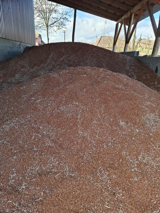 Vand SORG  .detalii la telefon