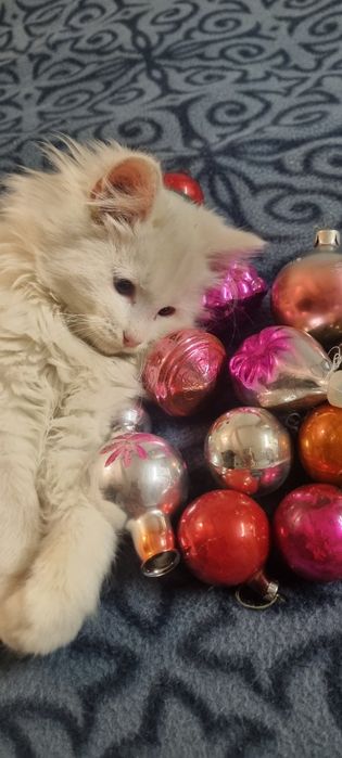 Новогодние ёлочные игрушки СССР