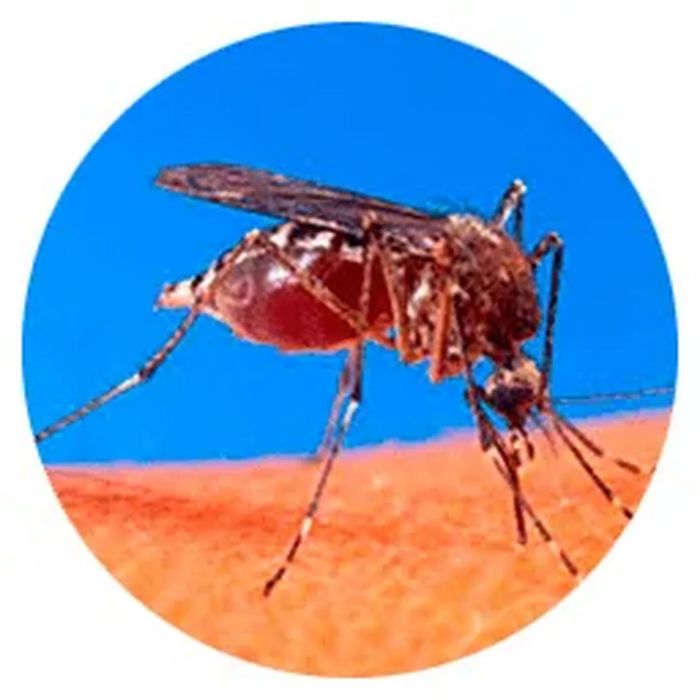 Дезинфекция (dezinfeksiya)дезинфекция Самарканд ш.