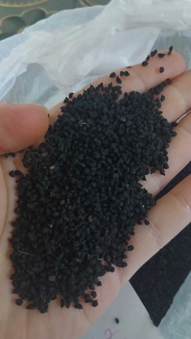 Samanta de praz romanesc