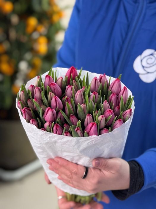 Голландские тюльпаны оптом