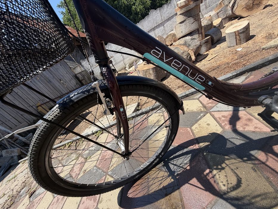 Vand bicicleta AVENUE