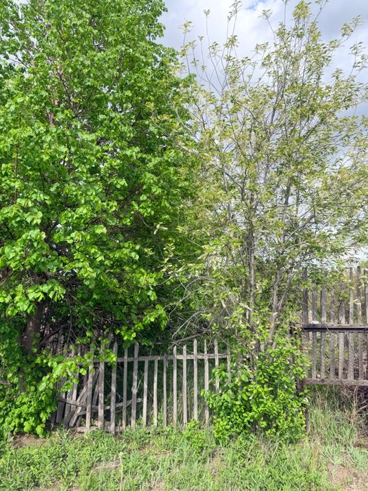 Продам дачу, сад.энтузиастов
