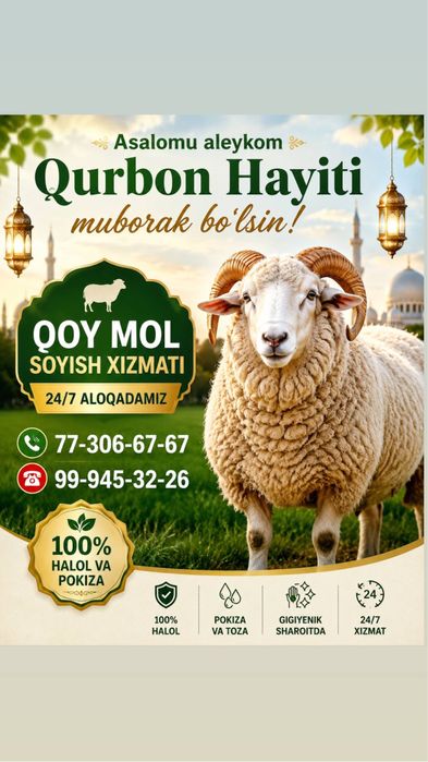 Qoy soyish hizmati 24/7