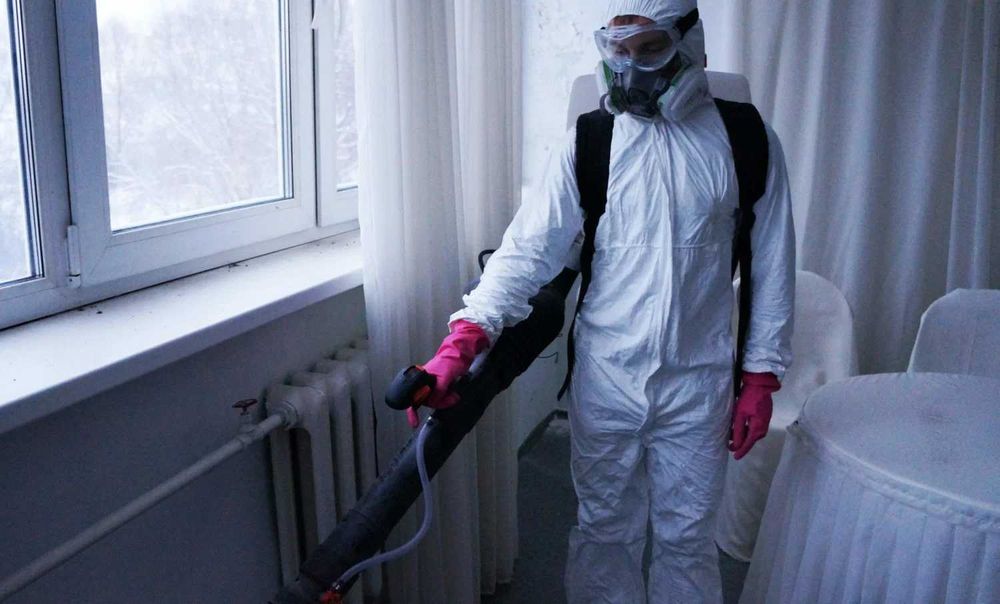 Dezinfeksiya klop klapa tarakan Уничтожение тараканов клопов крыс мышь