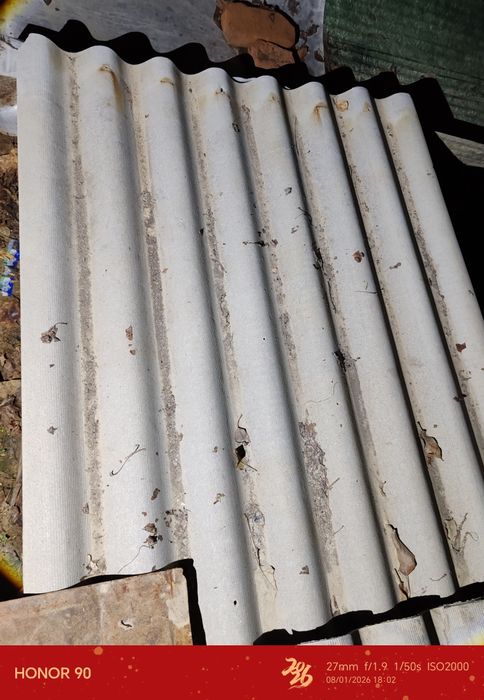 Shifer bor  donasi. 25 mingdan