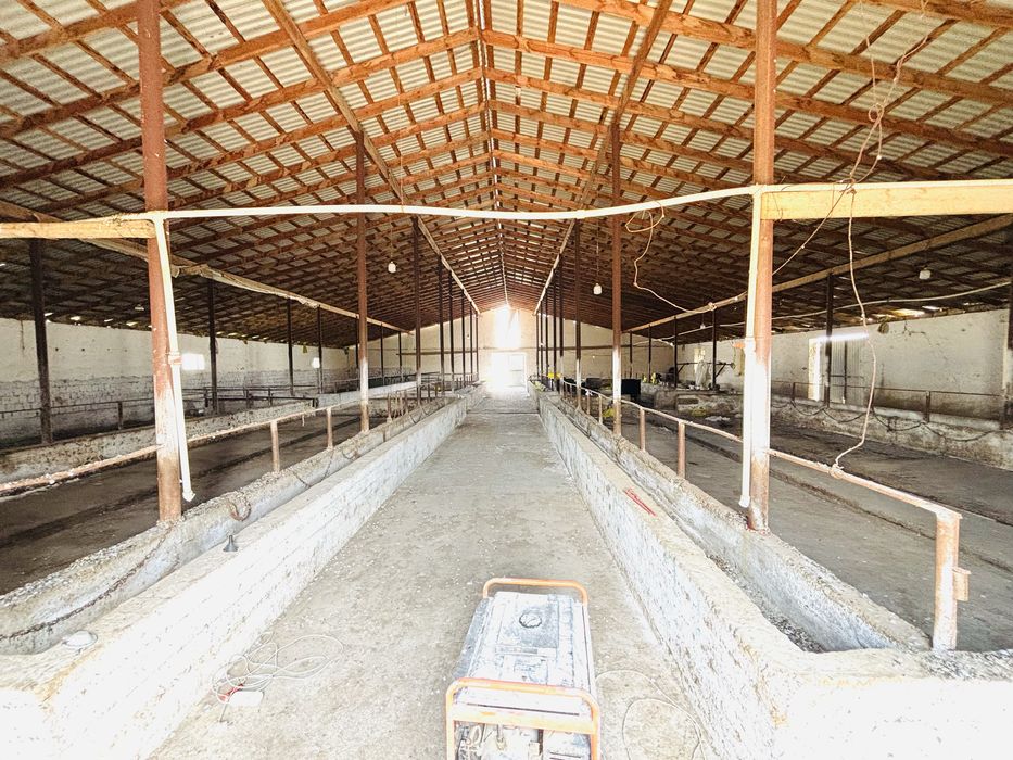 Ferma  ijaraga  joy sharoitlari bor