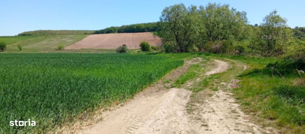 Teren intravilan, 41  ari, zona centurii