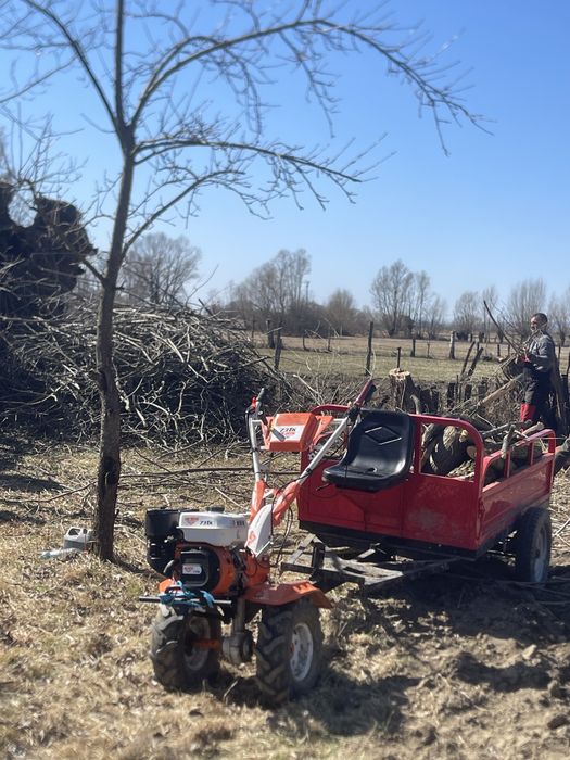 ruris732 devunzare