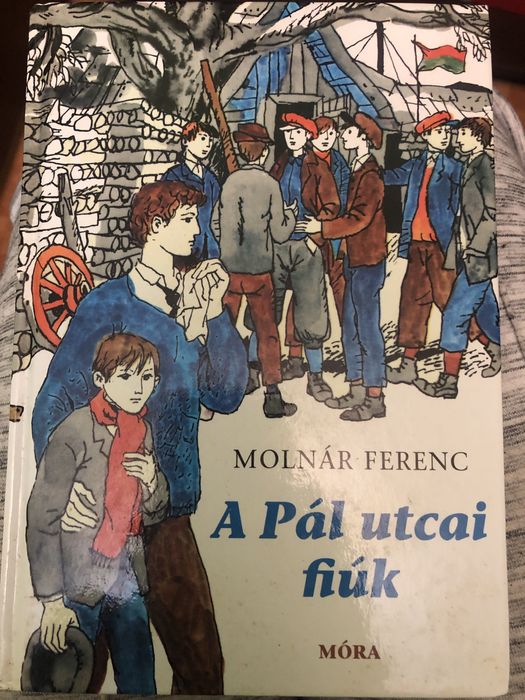 Carte in stare foarte buna