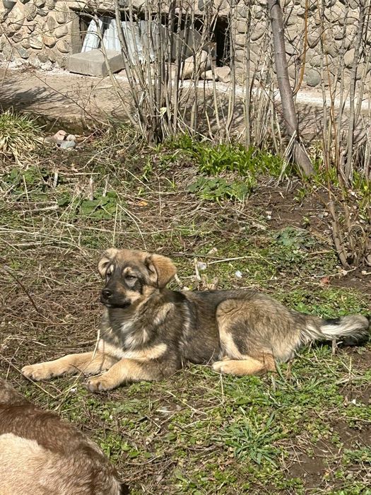 Девочки хотят ЖИТЬ!