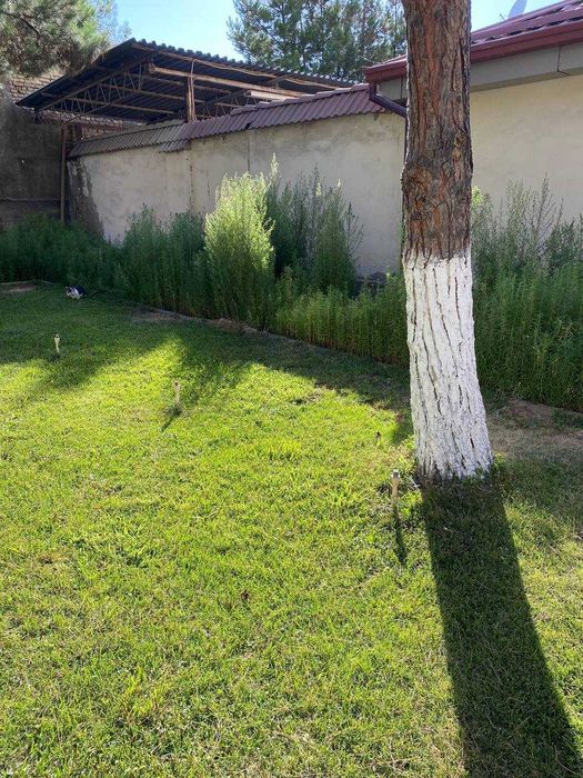 Мирабад Участок Земля под Застройку под Бизнес