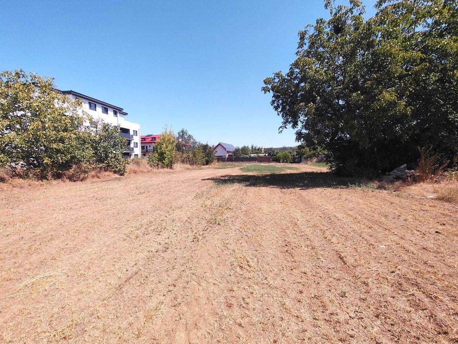 Teren 2530 mp Magurele zona premium, str Inului